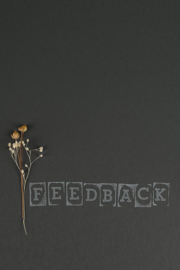 Artistic image of dried flowers on a dark surface featuring the word Feedback.